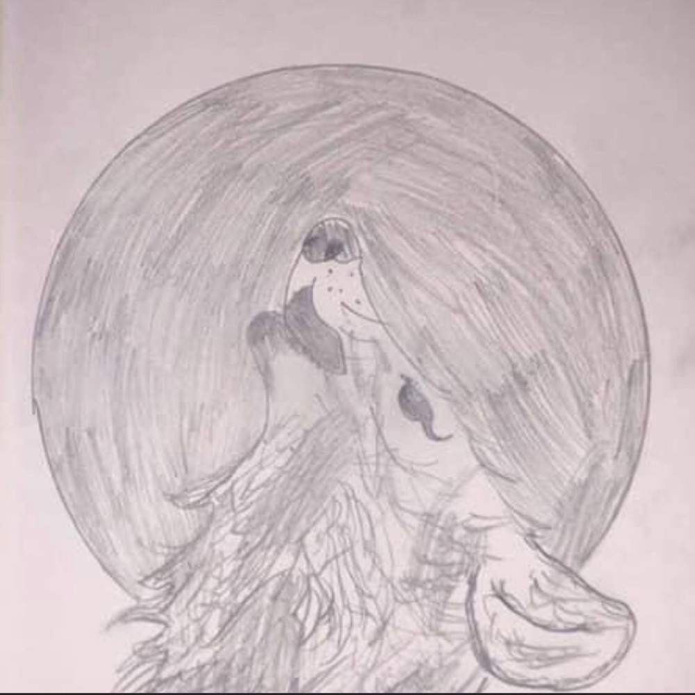 This is a wolf pic and i will be selling it!